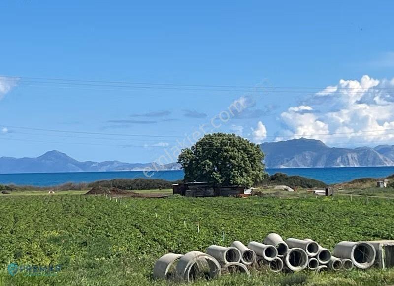 Datça Kızlan'da Anayola Sıfır, Deniz Manzaralı 814m² Tarla - Görsel 13