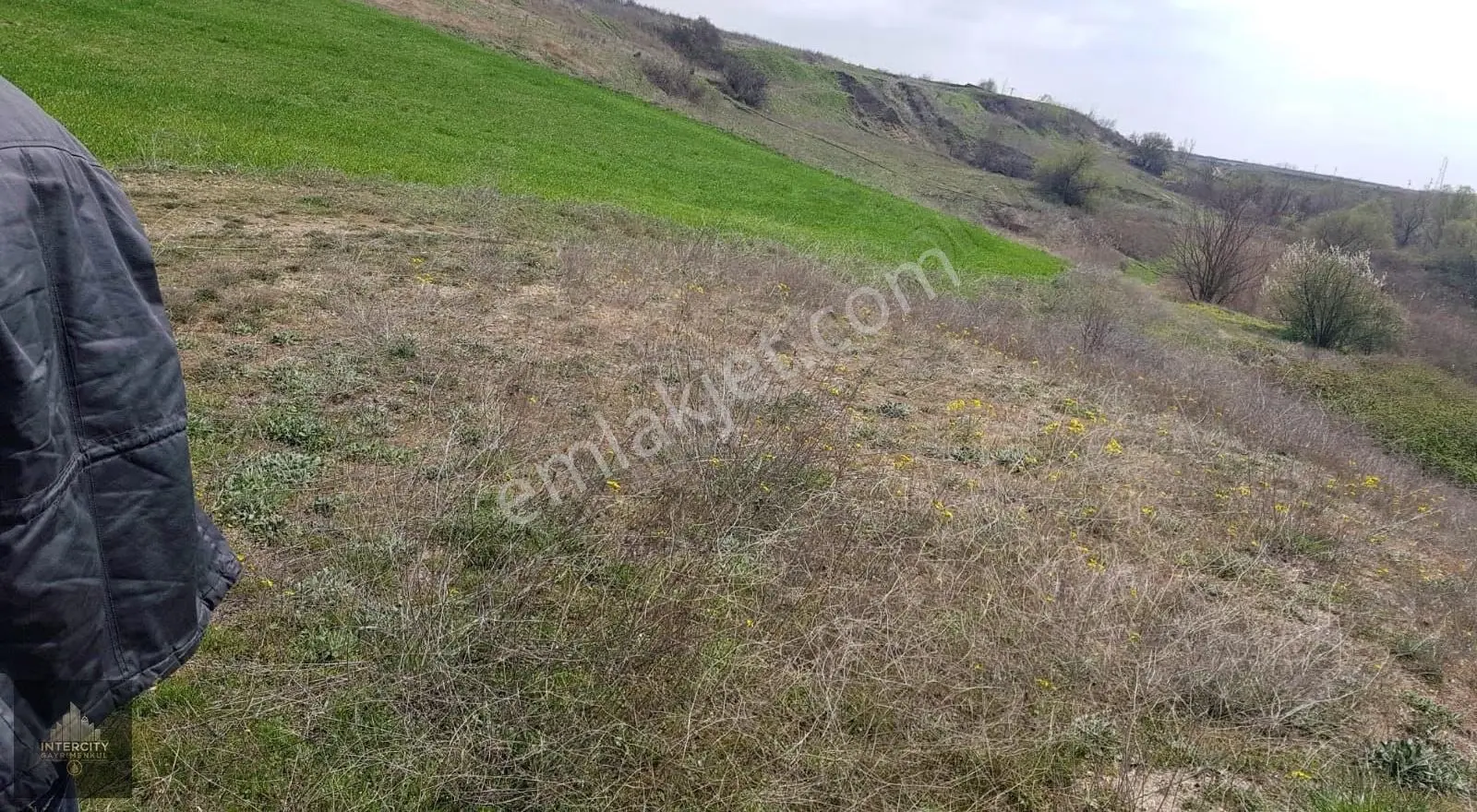 Edirne Merkez Doyran'da Satılık Kum-çakıl Ocağı - Görsel 2