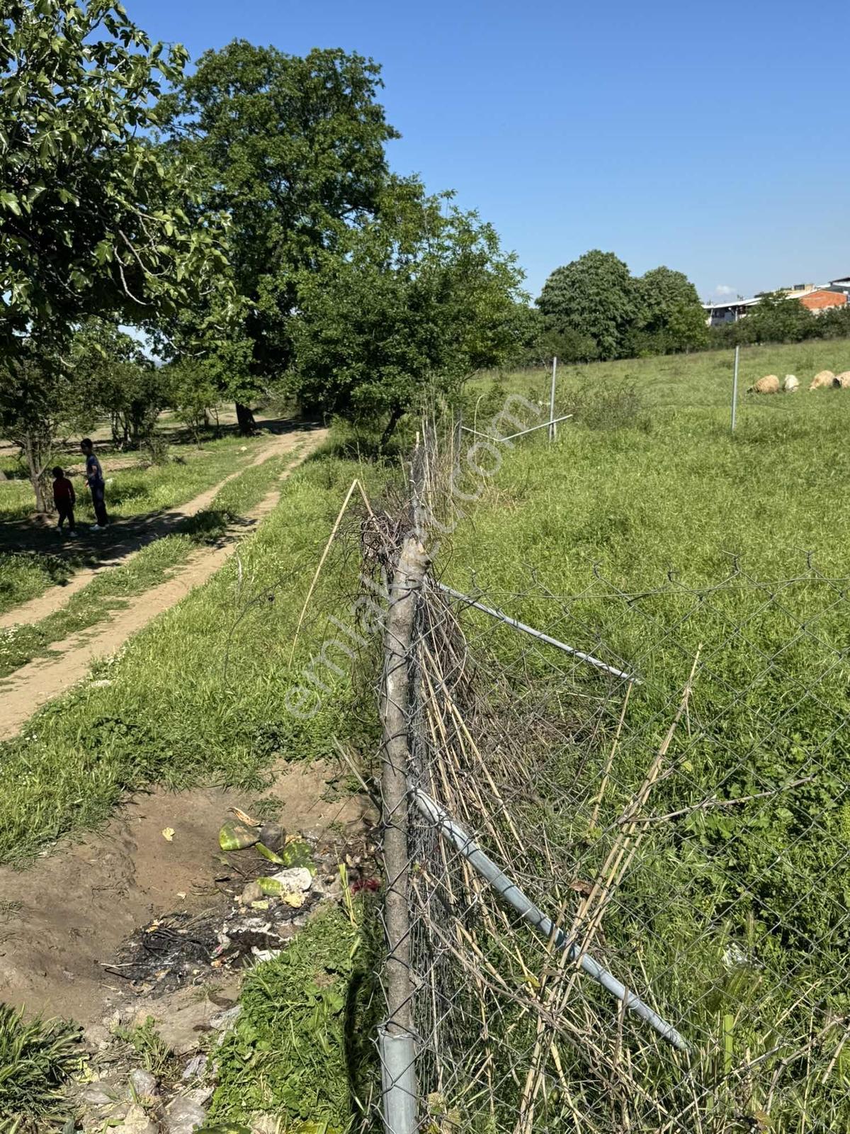 Nisandan Yıldırım Şirinevlerde Satılık 163 M² Hisseli Arsa - Görsel 6