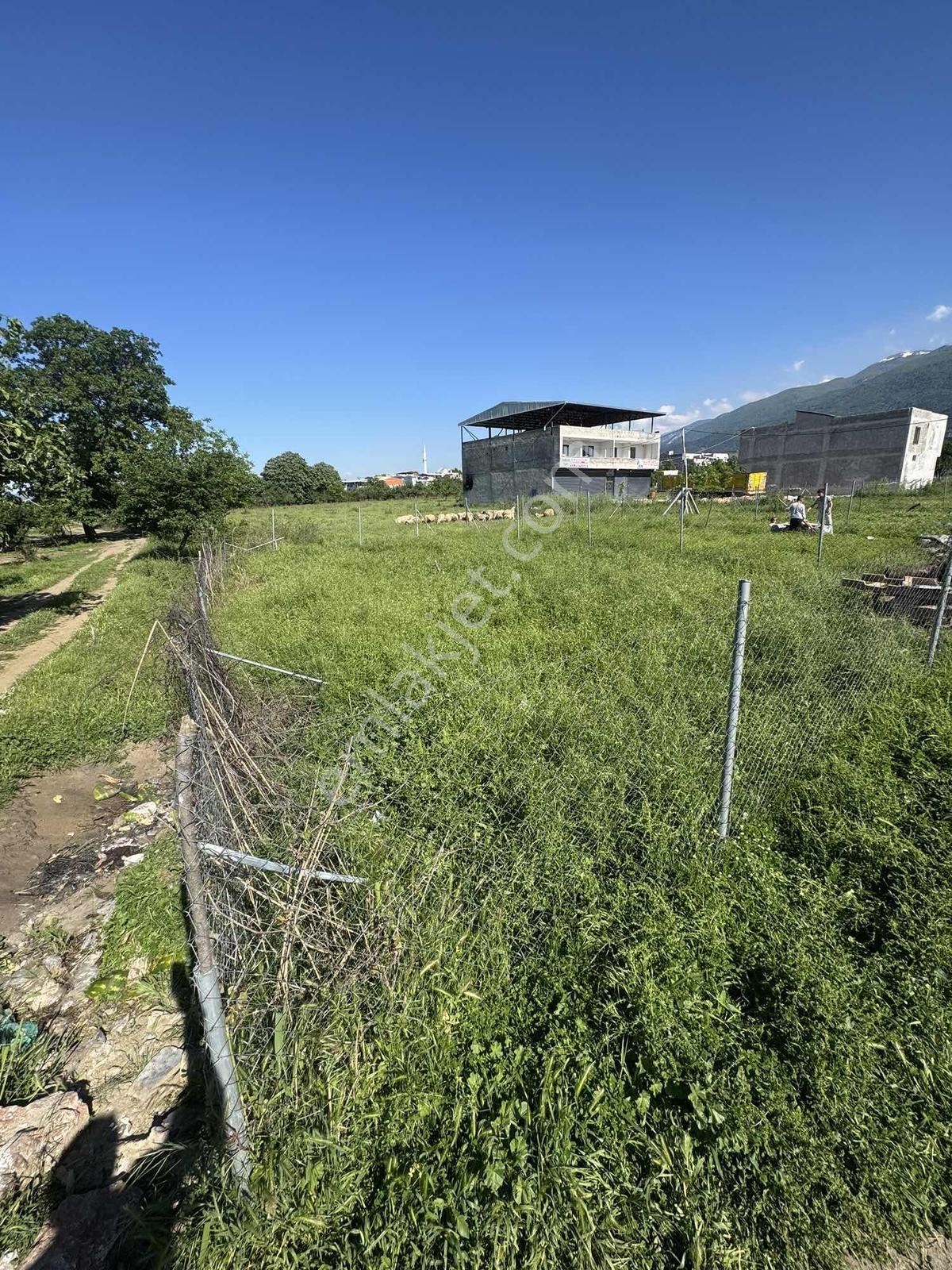 Nisandan Yıldırım Şirinevlerde Satılık 163 M² Hisseli Arsa - Görsel 11