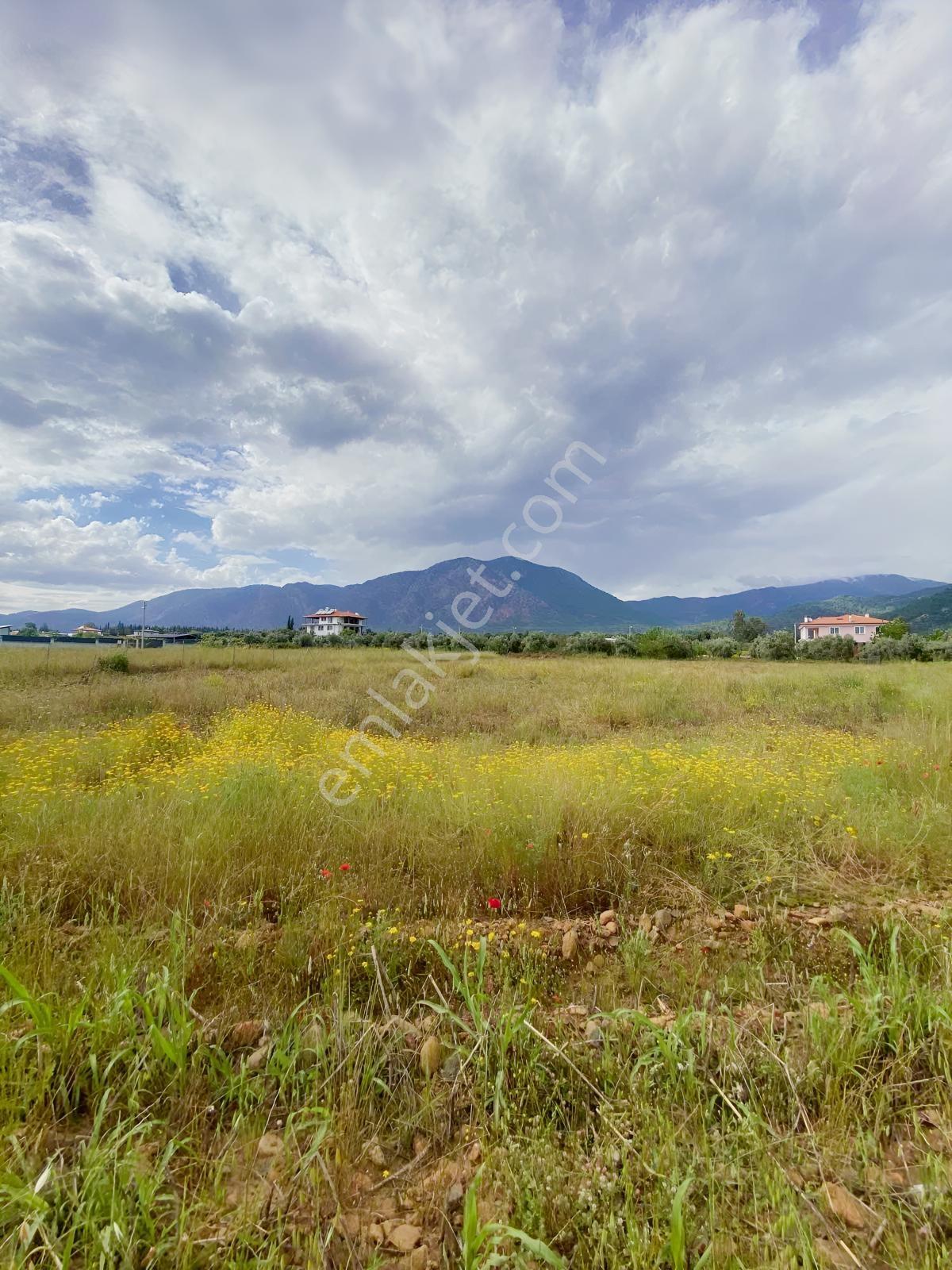 Yangıda Yerleşim Yeri İçerisinde 5070 M2 Tarla+zeytinliklik - Görsel 13