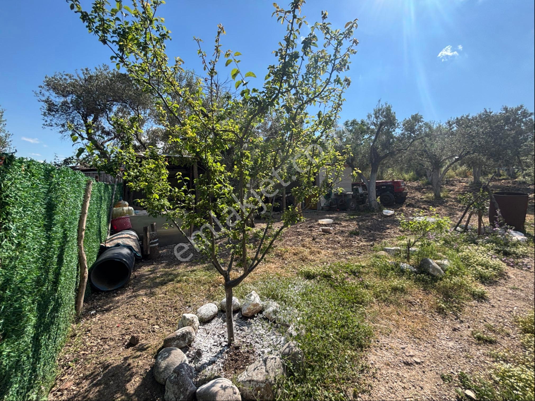 Şehirden Kaçışın En Güzel Hali! 1+1 Evi,elektriği Ve Suyu Hazır - Görsel 12