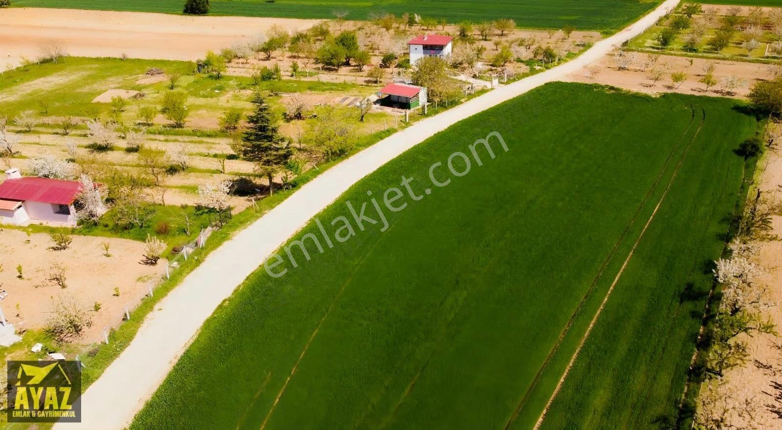Kırklareli Karahıdır'da Satılık 2756m² Bağ Evi Ve Meyve Bahçesi - Görsel 19