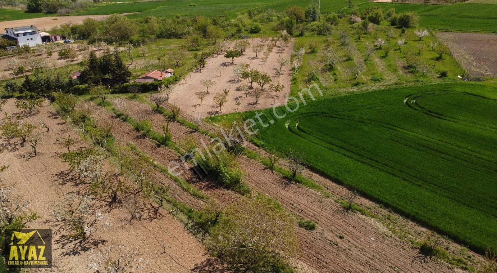 Kırklareli Karahıdır'da Satılık 2756m² Bağ Evi Ve Meyve Bahçesi - Görsel 22