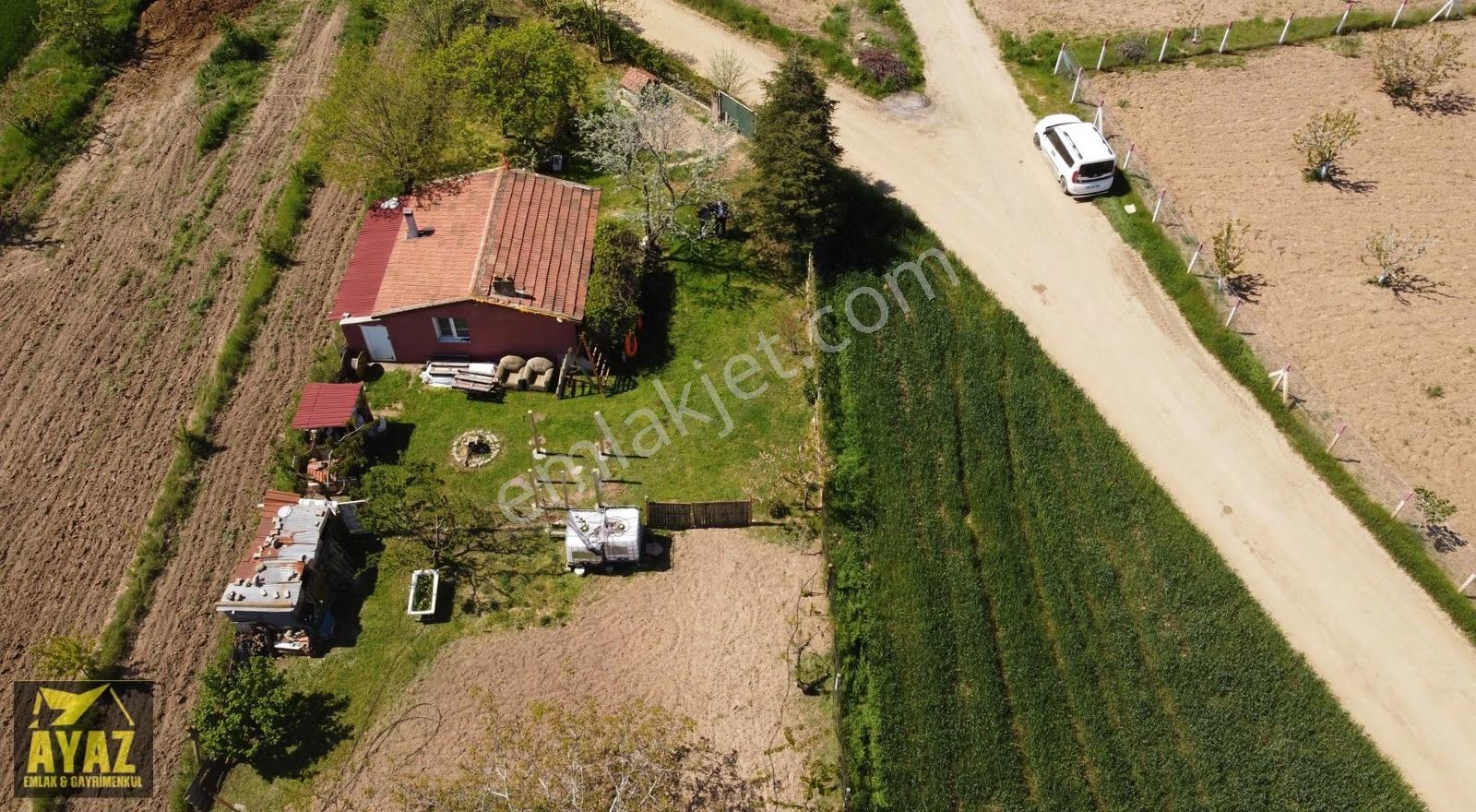 Kırklareli Karahıdır'da Satılık 2756m² Bağ Evi Ve Meyve Bahçesi - Görsel 13