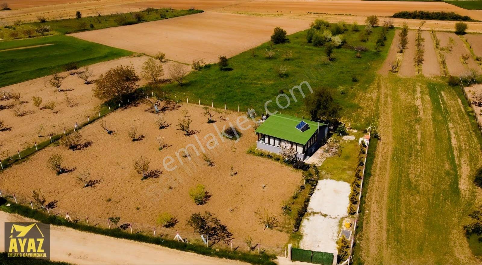 Kırklareli Karahıdır'da Satılık 2756m² Bağ Evi Ve Meyve Bahçesi - Görsel 4