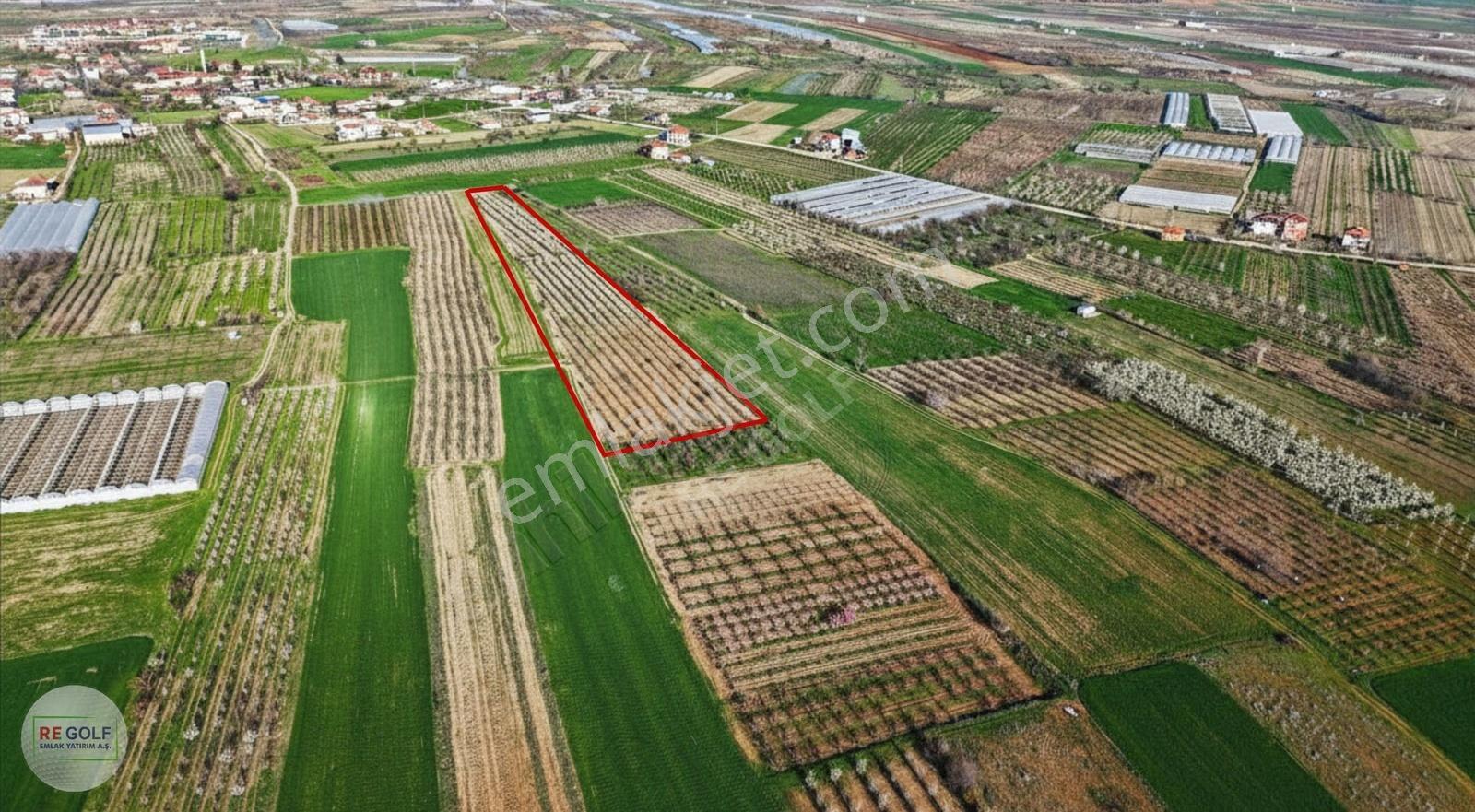 Osman Akça'dan Korkuteli Yazır'da 10.668 M2 Meyve Bahçesi