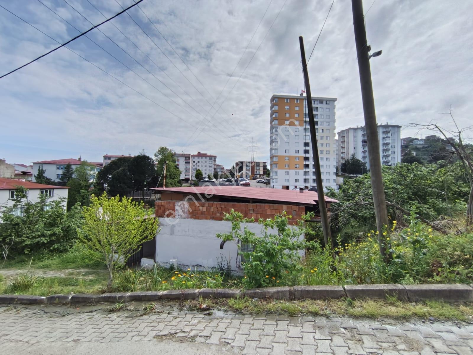 Delta Gayrimenkulden Bulancakda Satılık Fırsat Arsa - Görsel 9
