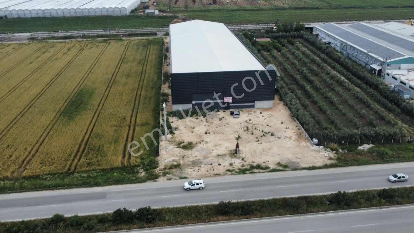 Zorlu'dan E5 Üzeri Sıfır Yapı Kiralık Depo !