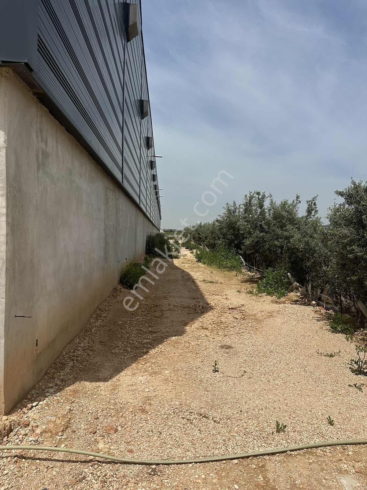 Zorlu'dan E5 Üzeri Sıfır Yapı Kiralık Depo ! - Görsel 7
