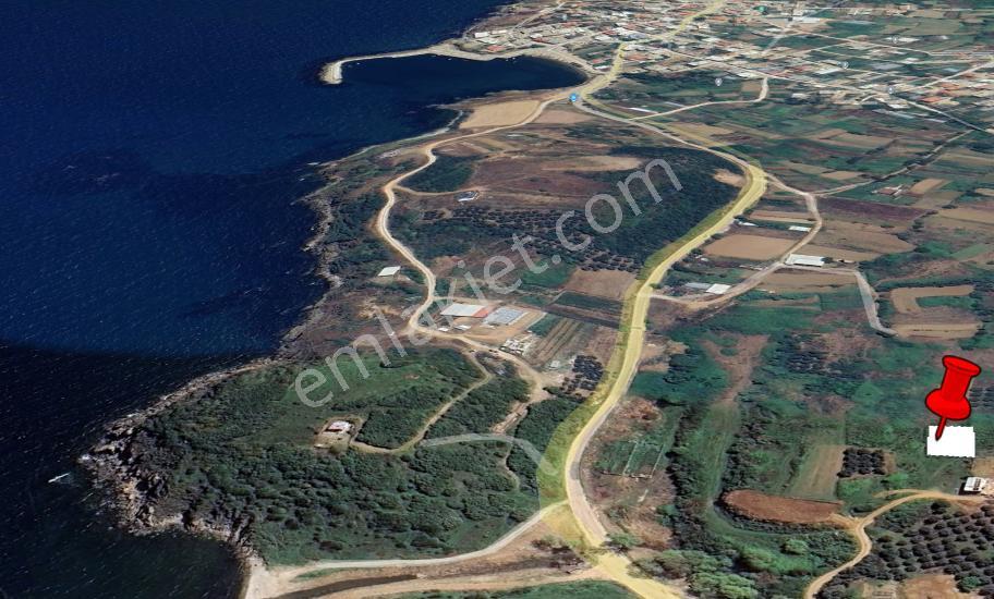 Balıkesir Bandırma Sahil Yenice Mah. 565 M2 Satılık Tarla Merkeze Yakın Sahile Yakın - Görsel 11