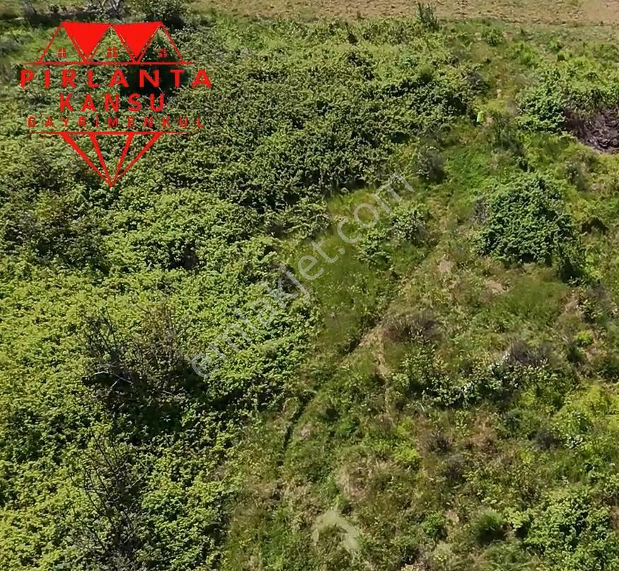 Balıkesir Bandırma Sahil Yenice Mah. 565 M2 Satılık Tarla Merkeze Yakın Sahile Yakın - Görsel 3