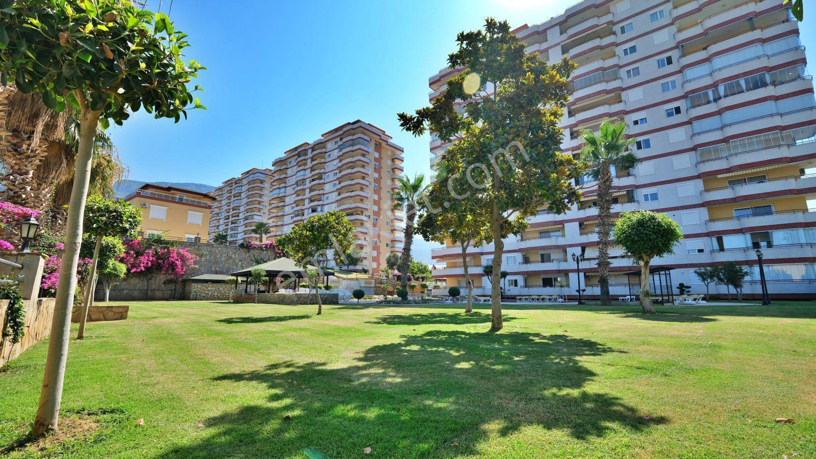 Mahmutlar / Alanya 2+1 Manzaralı Full Aktiviteli Eşyalı - Görsel 10