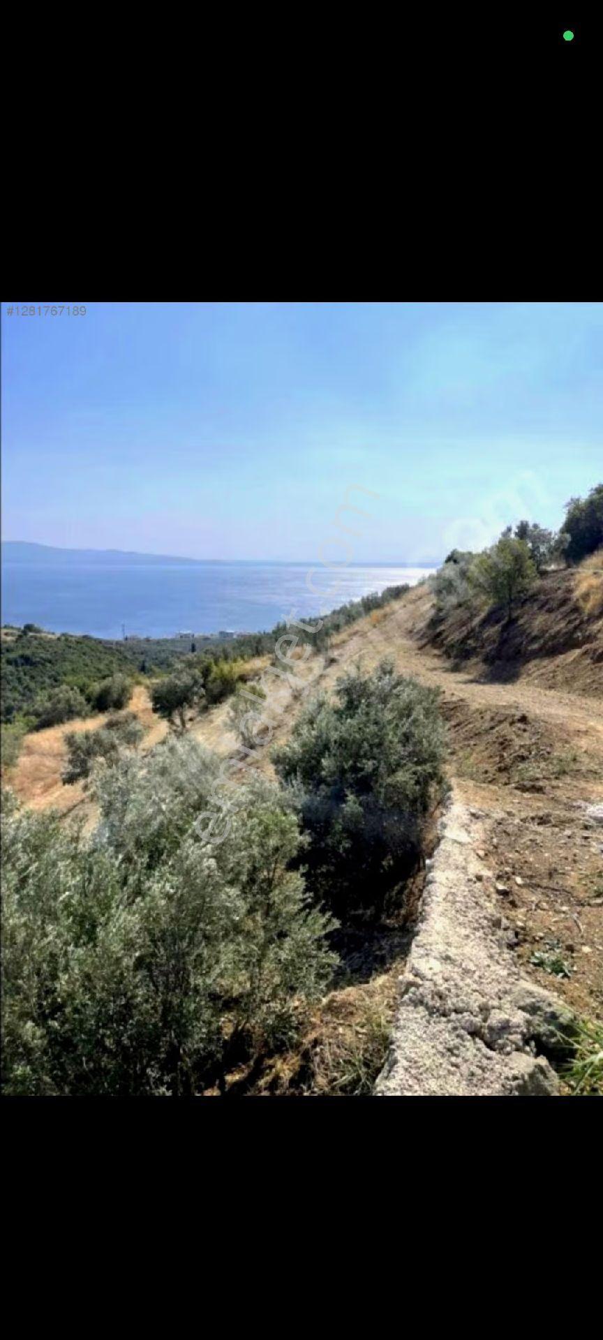 Görülmeye Değer - Görsel 4