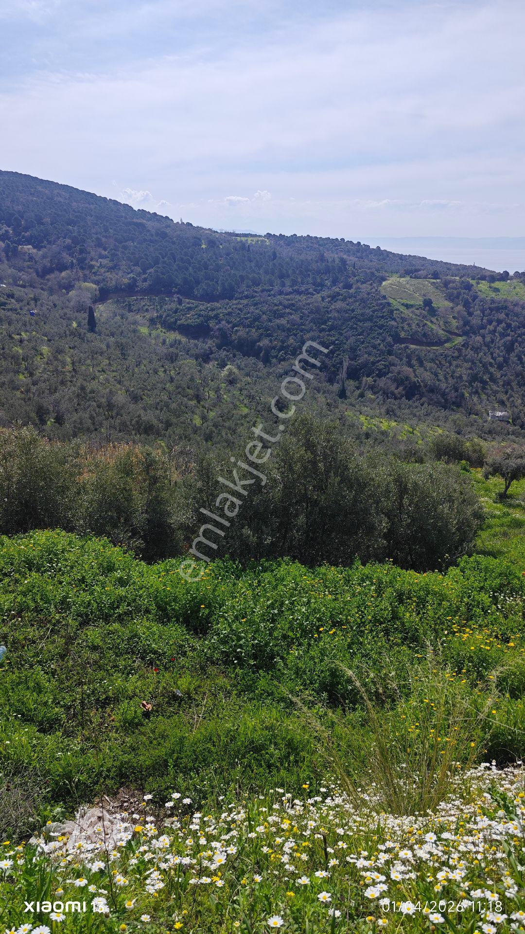 Görülmeye Değer - Görsel 9