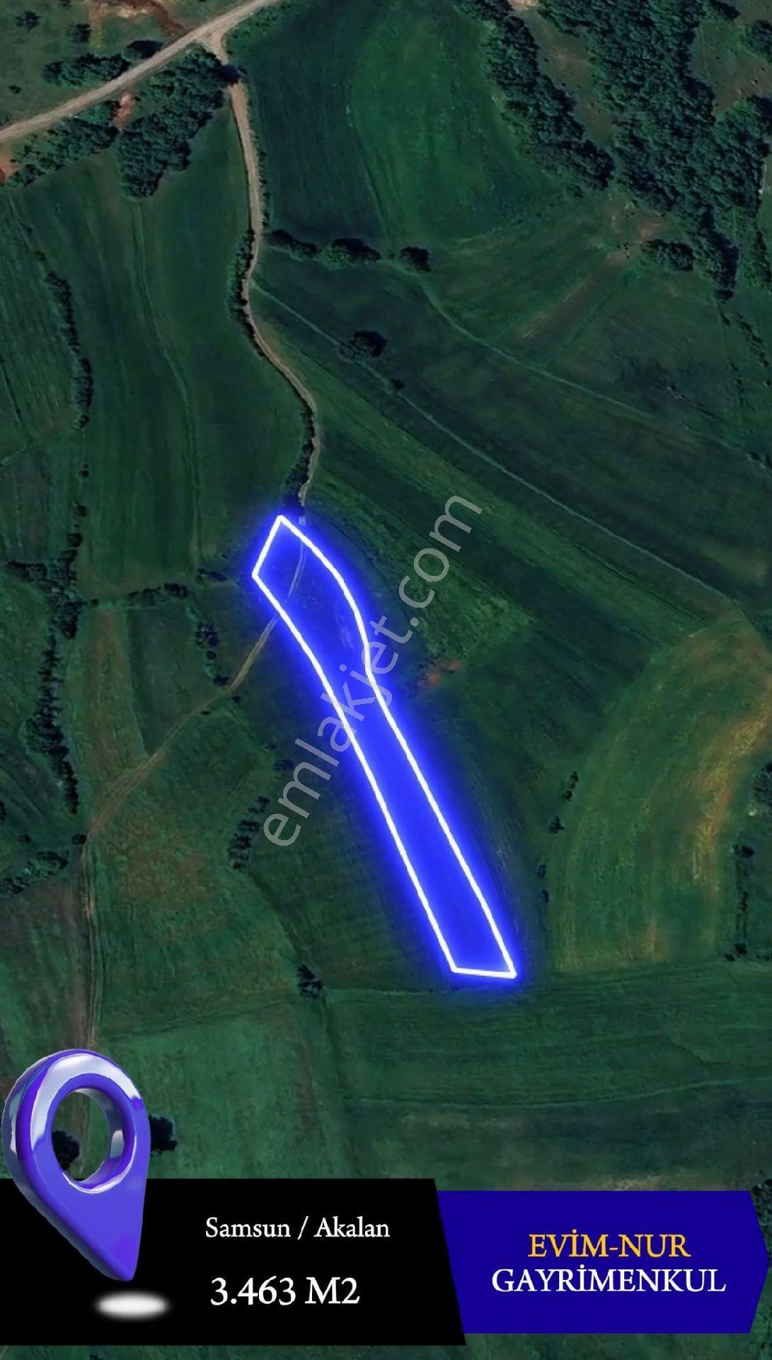 Evim-nur'dan Atakum Akalanda Yola 50 Metre Tek Tapu Fırsat Tarla - Görsel 5