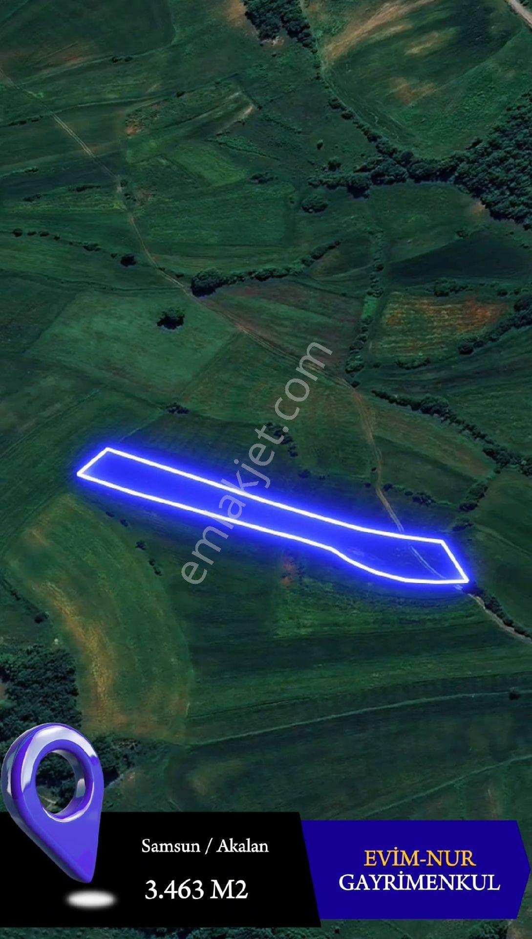 Evim-nur'dan Atakum Akalanda Yola 50 Metre Tek Tapu Fırsat Tarla - Görsel 8