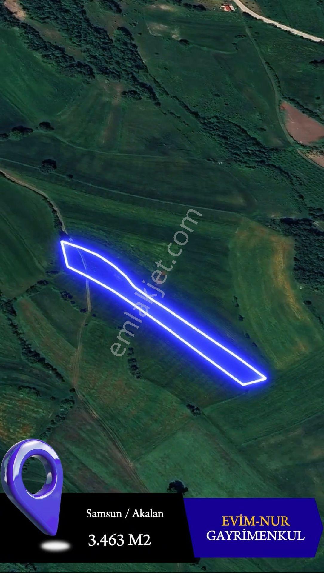 Evim-nur'dan Atakum Akalanda Yola 50 Metre Tek Tapu Fırsat Tarla - Görsel 4