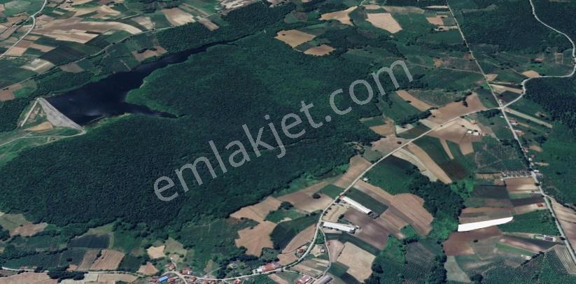 Sakarya-kaynarca-karaçalıda 3.530 M2 - Görsel 18