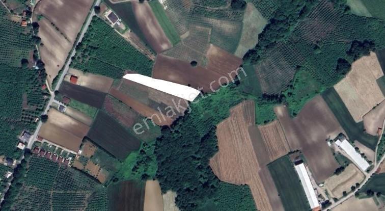 Sakarya-kaynarca-karaçalıda 3.530 M2 - Görsel 17