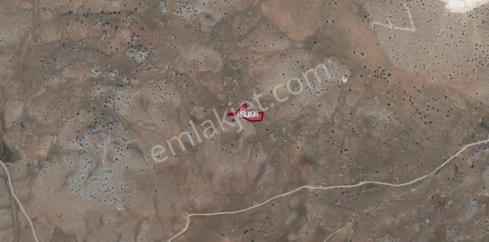 Antalya Korkuteli Taşkesiği Köyü Kazanpınarı Mevki Satılık Tarla No-20635 - Görsel 2