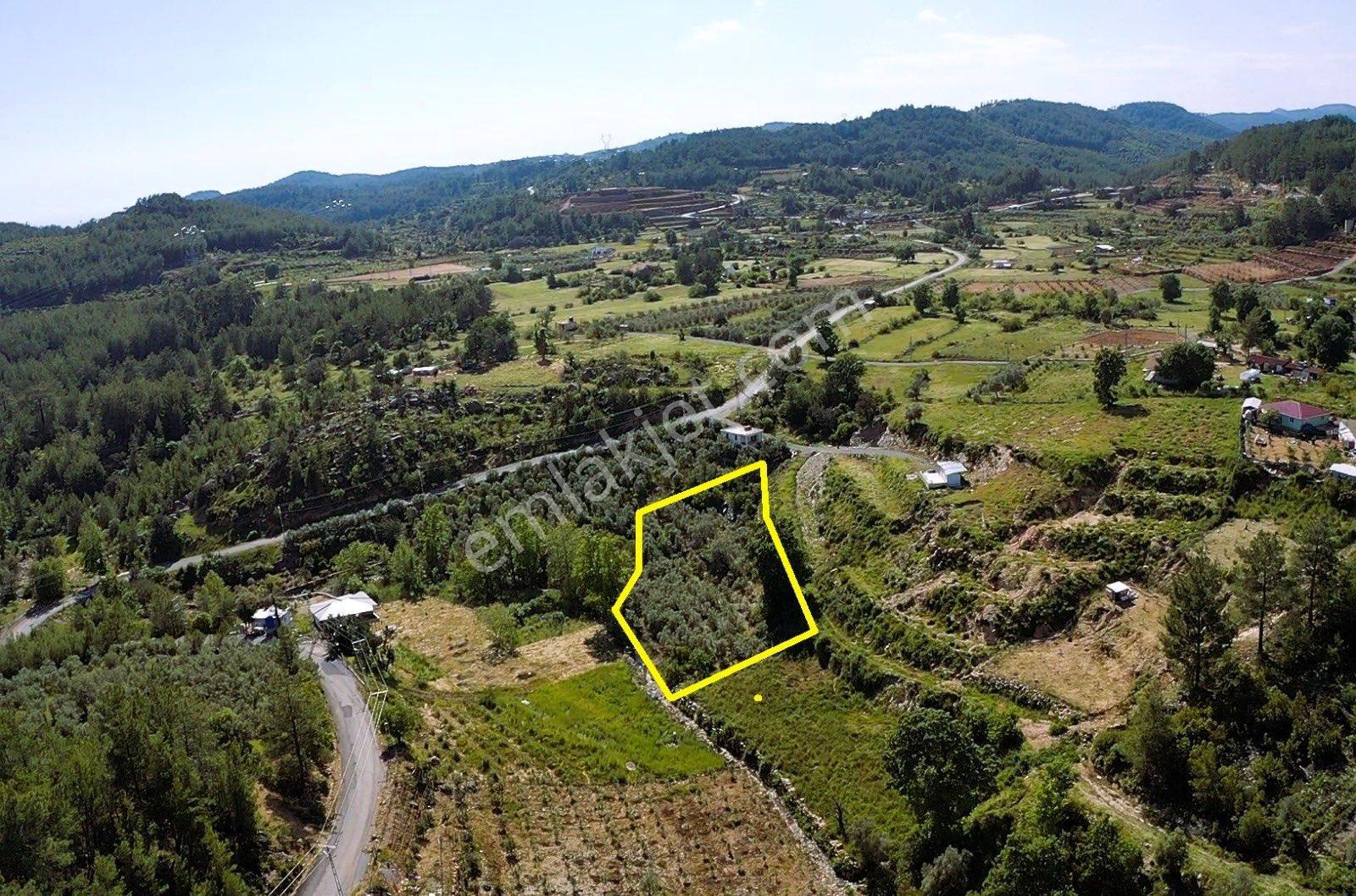 Alanya Saburlarda Satılık 2.642 M2 Zeytin Bahçesi - Görsel 10