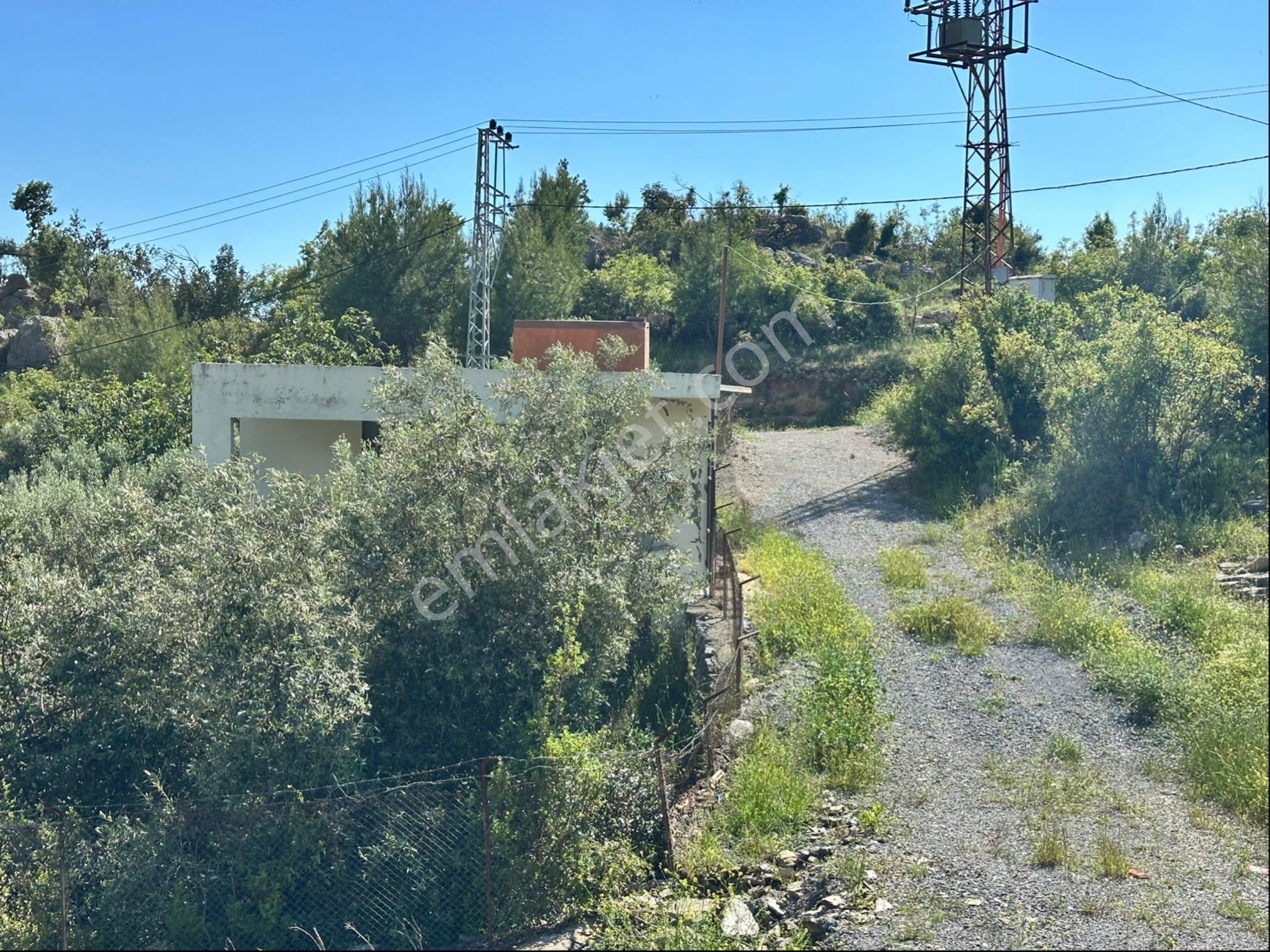 Alanya Saburlarda Satılık 2.642 M2 Zeytin Bahçesi - Görsel 18