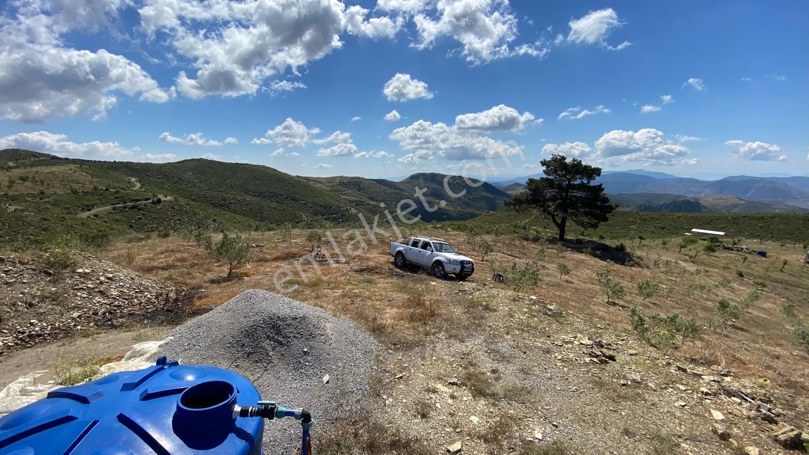 Seferihisar Beyler'de Satılık 35.168 M2 1000 Ağaçlı Zeytinlik - Görsel 13
