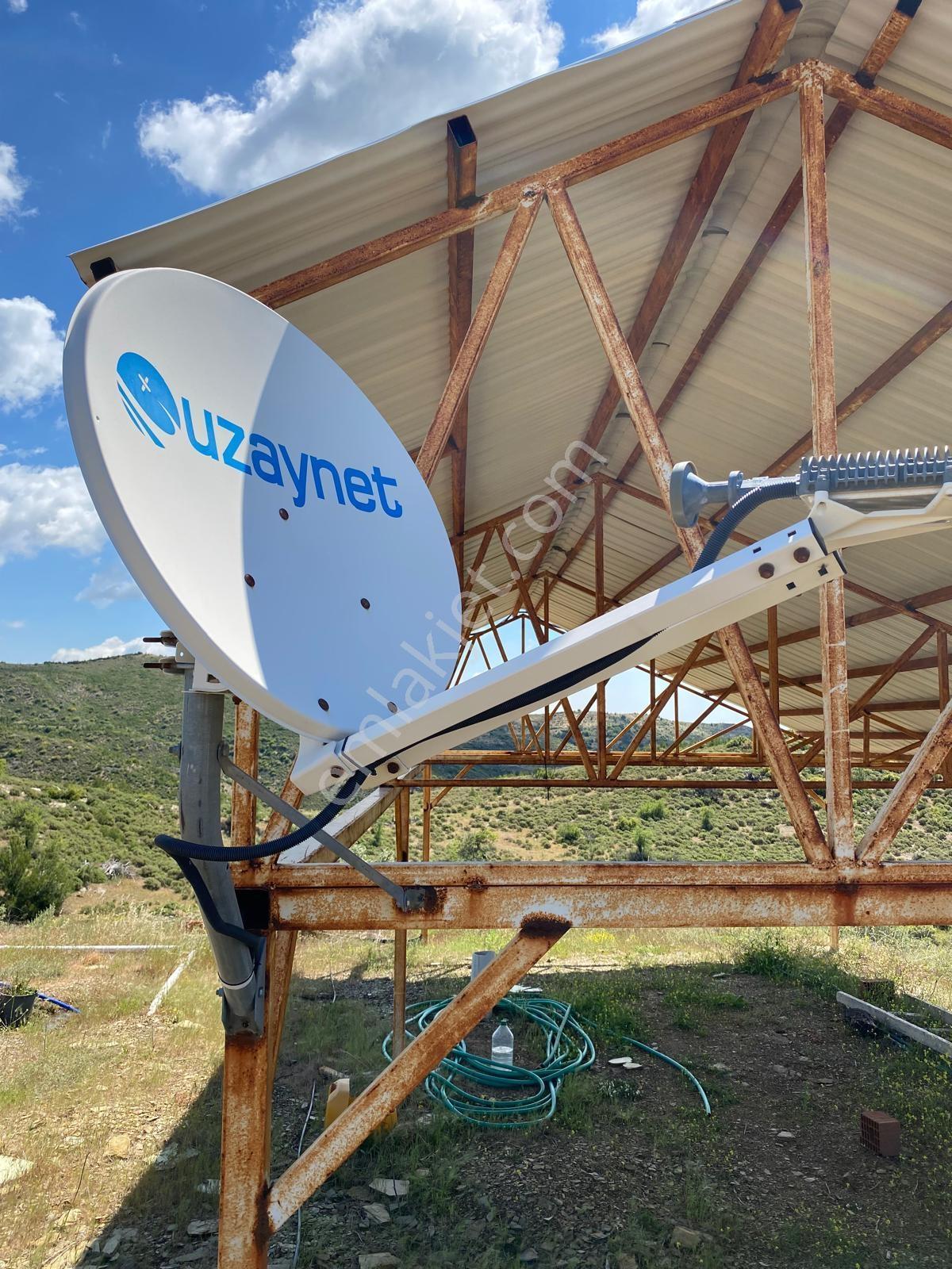 Seferihisar Beyler'de Satılık 35.168 M2 1000 Ağaçlı Zeytinlik - Görsel 20