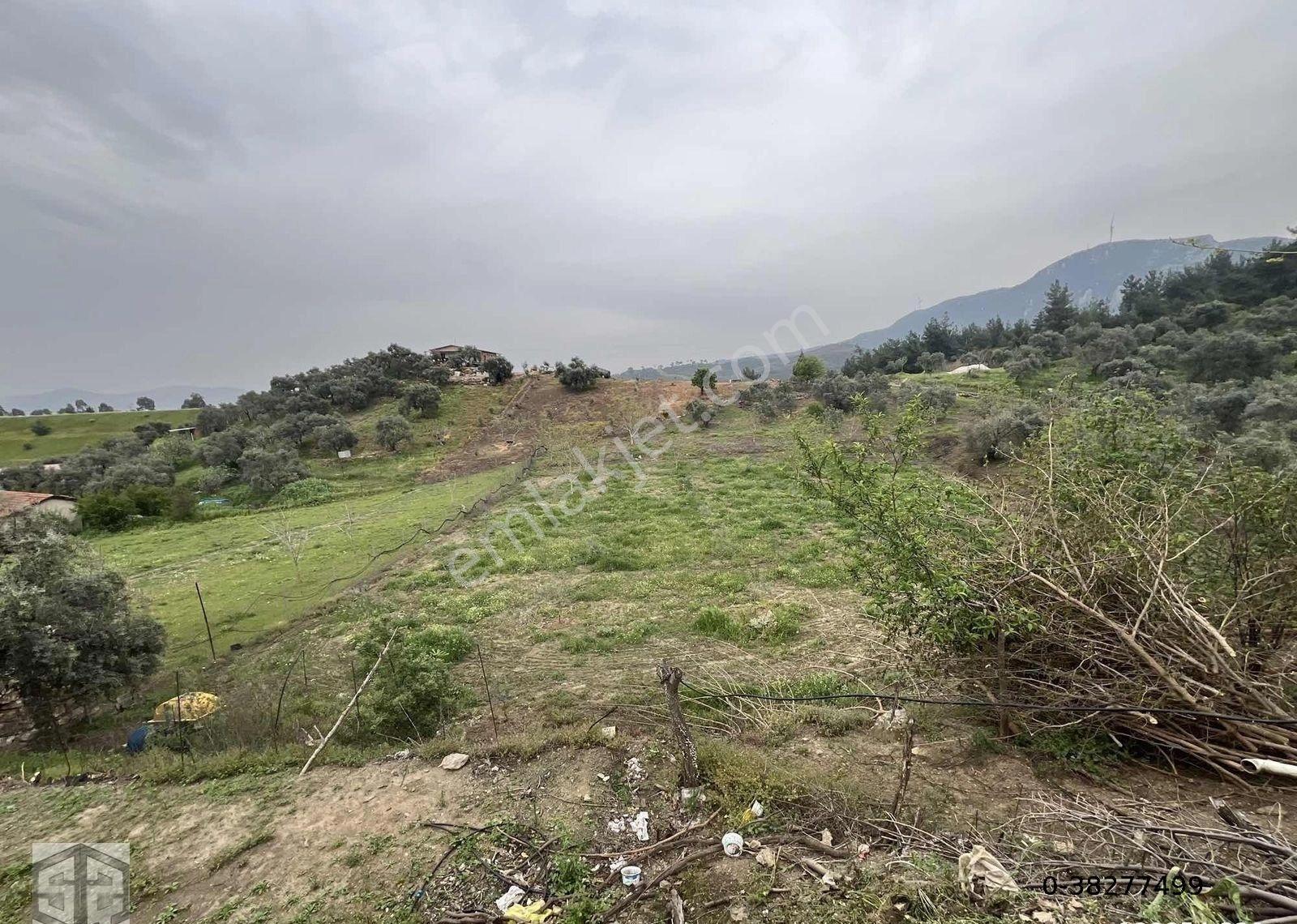 İzmir Tire Halkapınar Köyünde 5989m2 Bahçe - Görsel 10