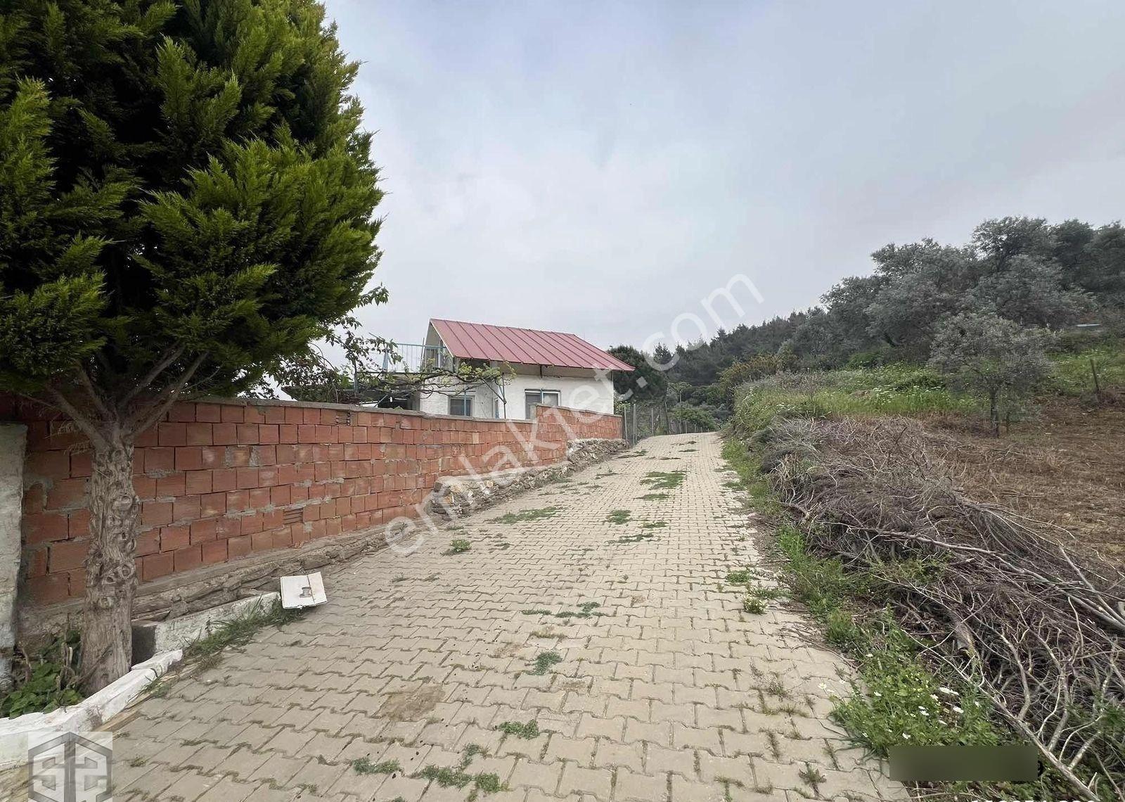 İzmir Tire Halkapınar Köyünde 5989m2 Bahçe - Görsel 15