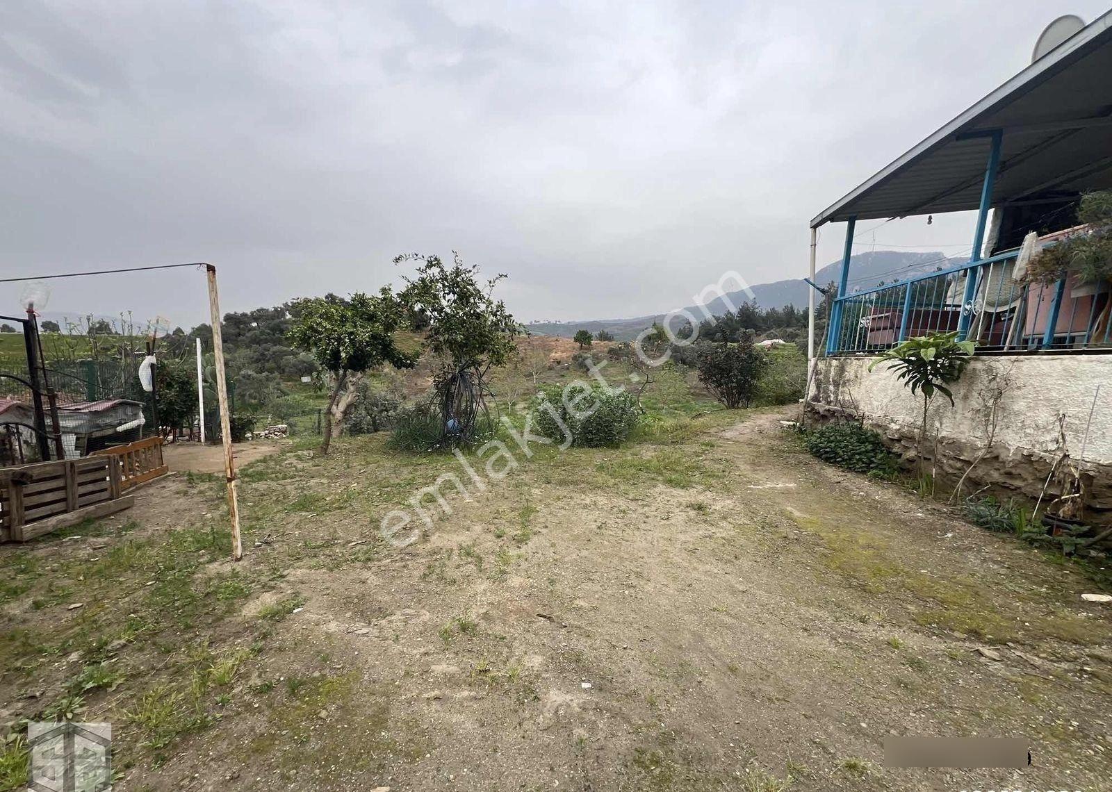 İzmir Tire Halkapınar Köyünde 5989m2 Bahçe - Görsel 17