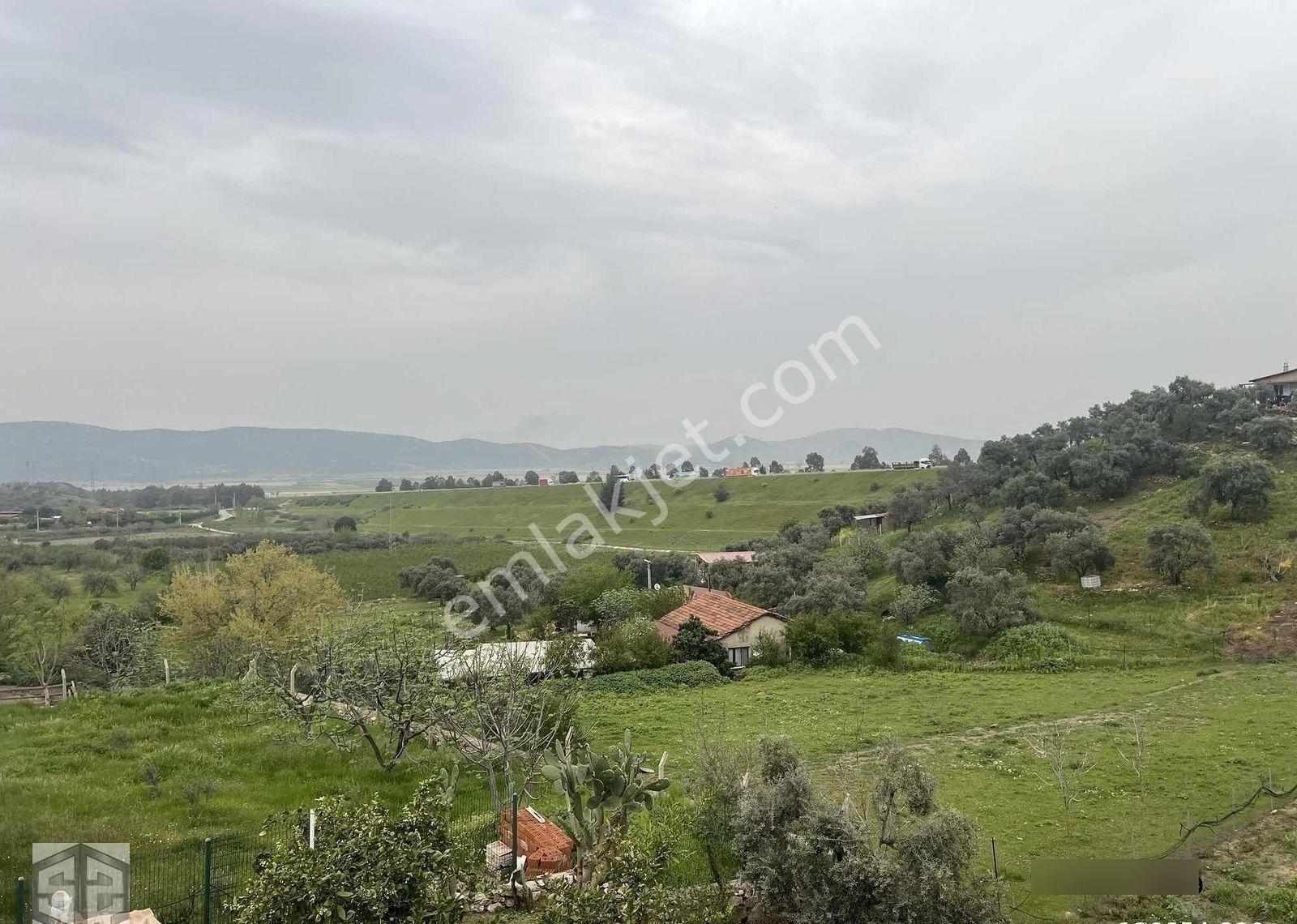 İzmir Tire Halkapınar Köyünde 5989m2 Bahçe - Görsel 6