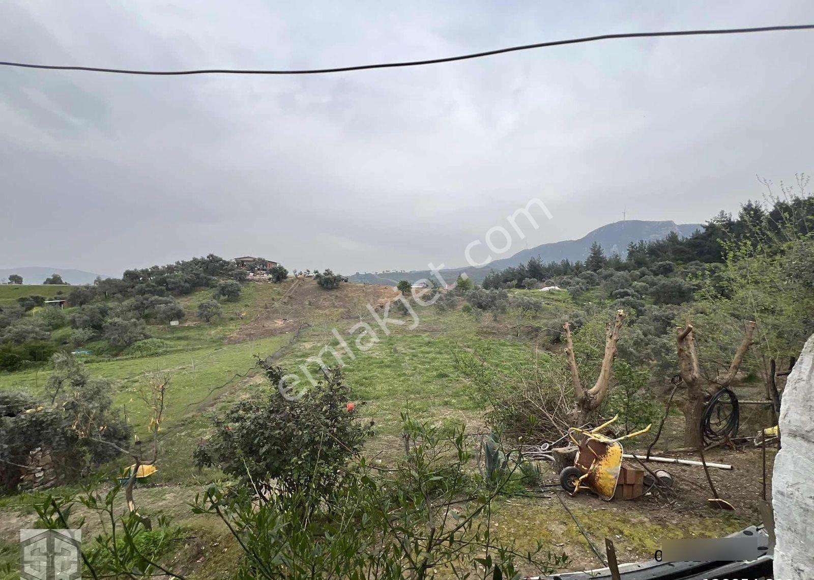 İzmir Tire Halkapınar Köyünde 5989m2 Bahçe - Görsel 13