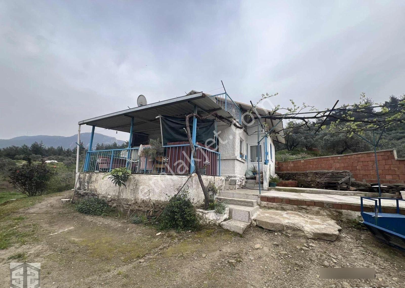 İzmir Tire Halkapınar Köyünde 5989m2 Bahçe - Görsel 16