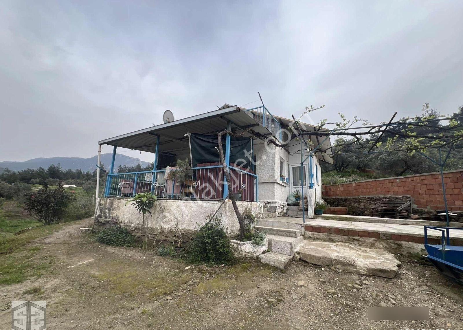 İzmir Tire Halkapınar Köyünde 5989m2 Bahçe
