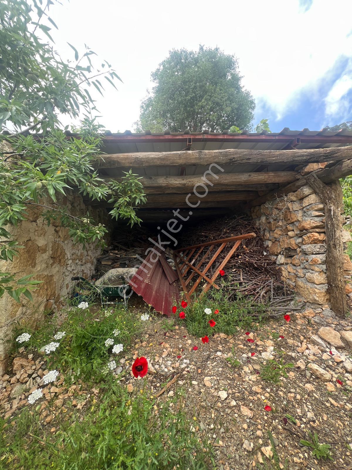 Mersin Silifke Karakaya'da Doğayla İç İçe Yaylalık Müstakil Ev Ve Arsa - Görsel 5