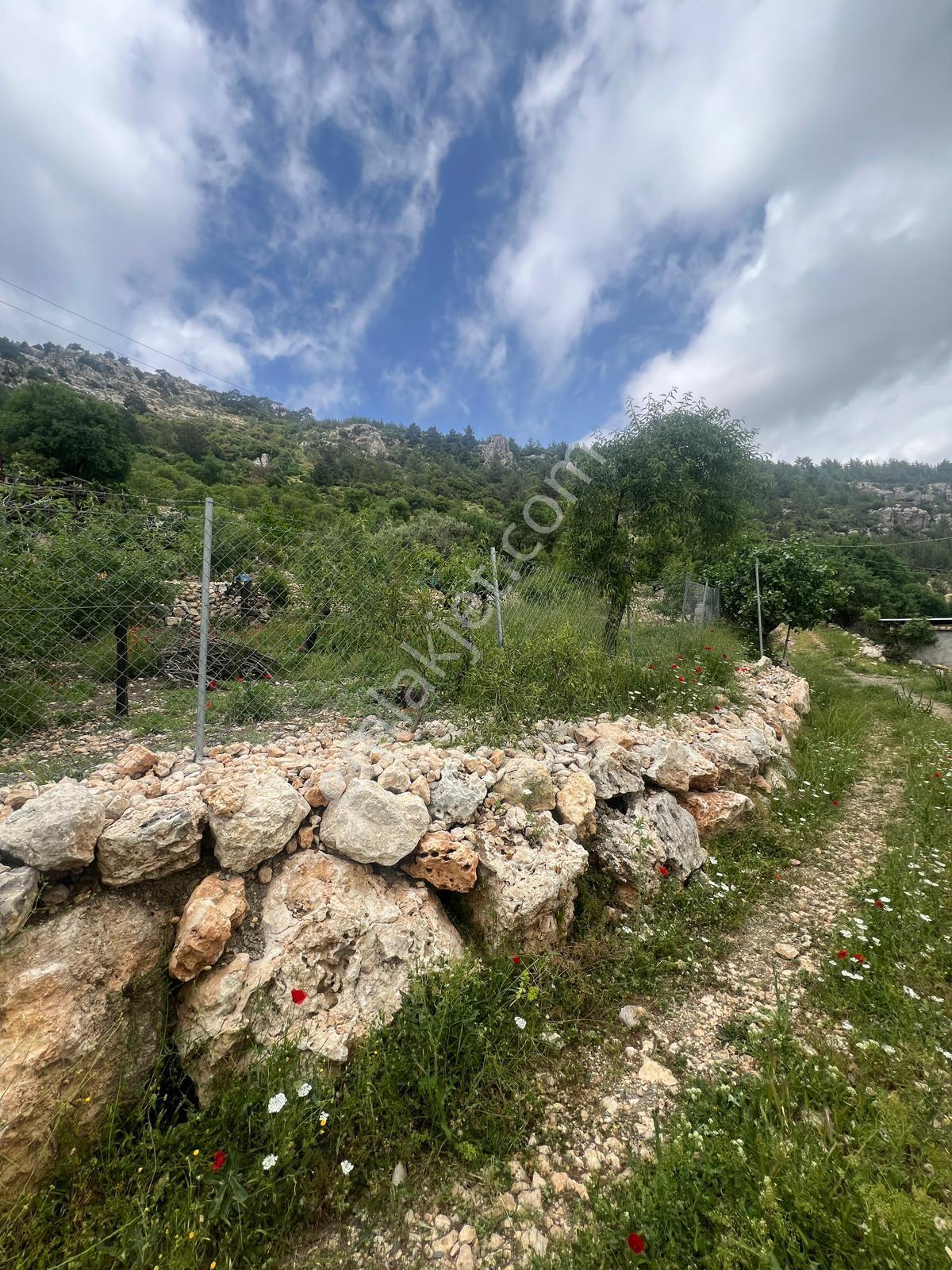 Mersin Silifke Karakaya'da Doğayla İç İçe Yaylalık Müstakil Ev Ve Arsa - Görsel 19