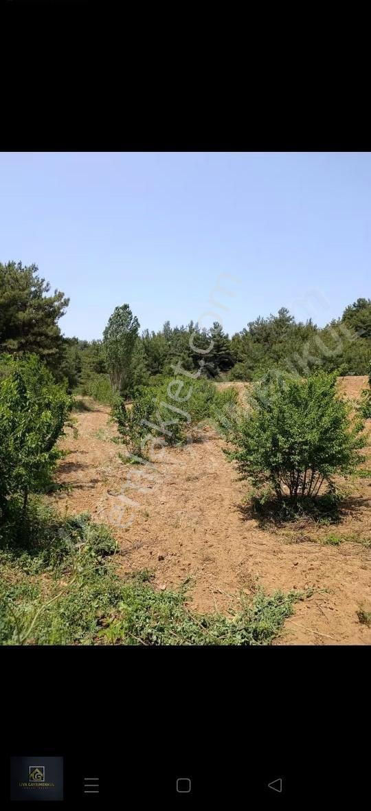 Manisa Turgutlu Bozkir Mah. - Görsel 3