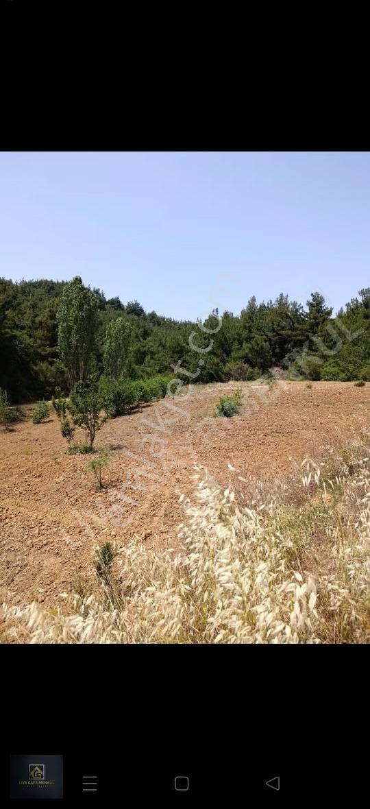 Manisa Turgutlu Bozkir Mah. - Görsel 14