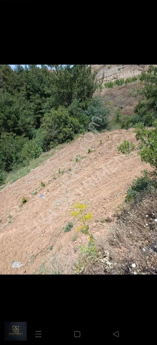 Manisa Turgutlu Bozkir Mah. - Görsel 6