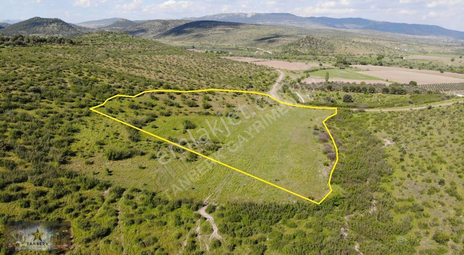 Bergama Doğancılar Da Satılık 20 Dönüm Tarla - Görsel 4