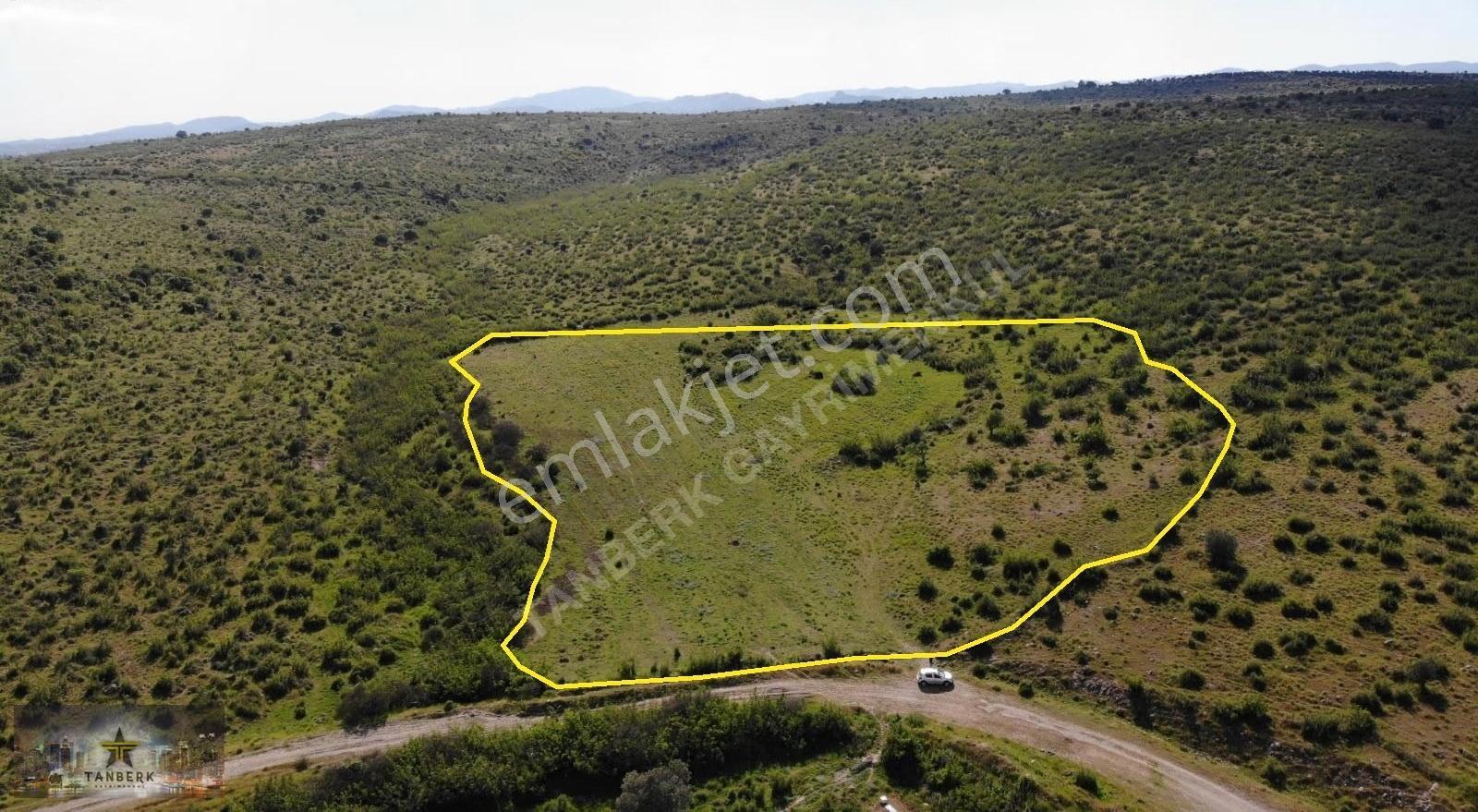 Bergama Doğancılar Da Satılık 20 Dönüm Tarla - Görsel 2