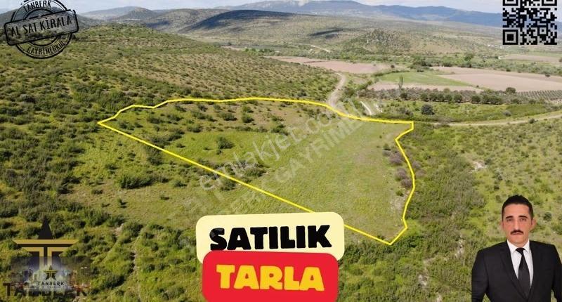 Bergama Doğancılar Da Satılık 20 Dönüm Tarla