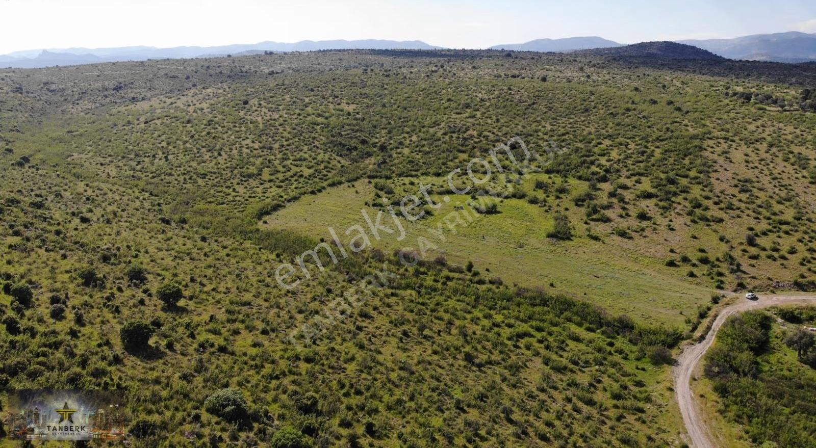 Bergama Doğancılar Da Satılık 20 Dönüm Tarla - Görsel 5