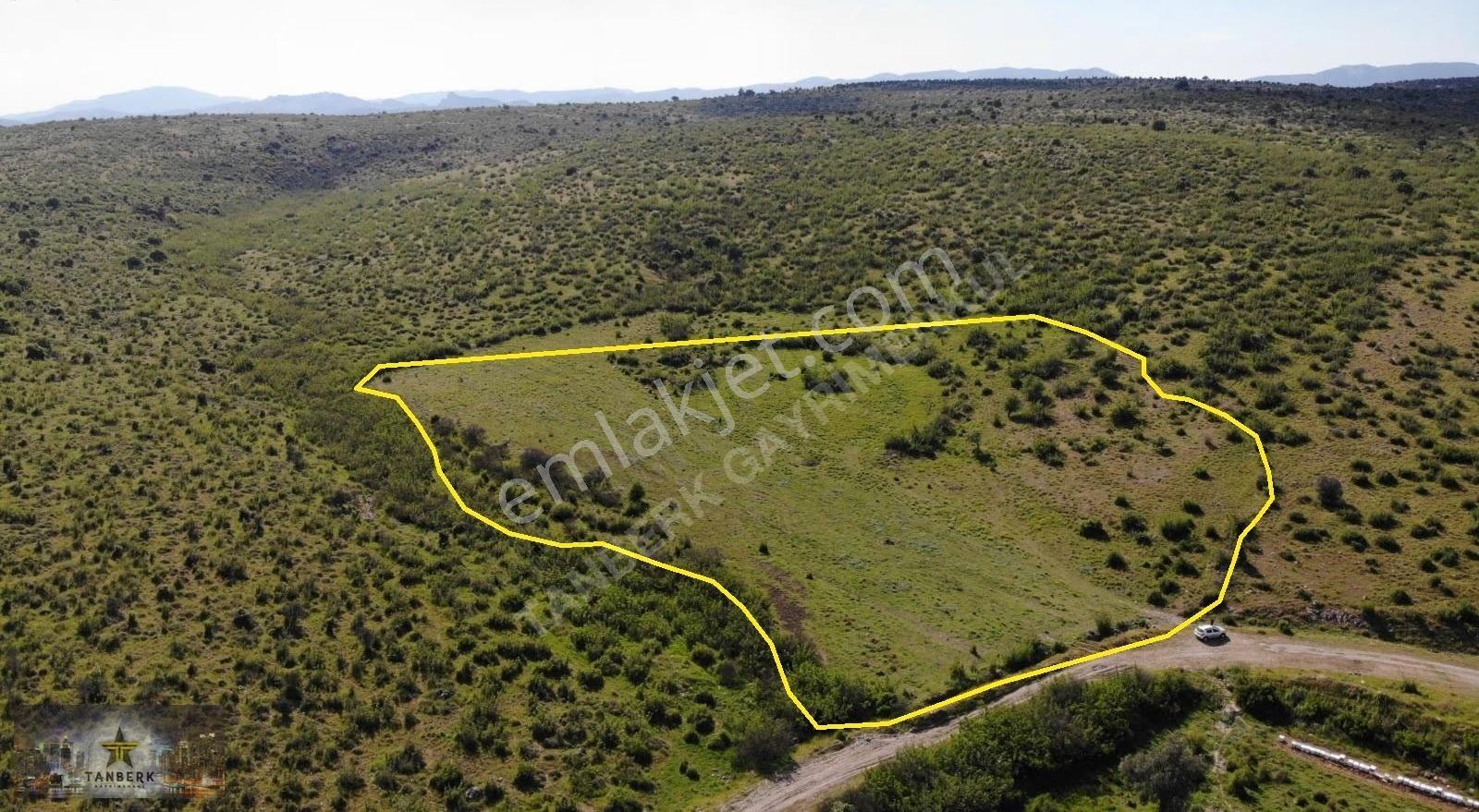 Bergama Doğancılar Da Satılık 20 Dönüm Tarla - Görsel 6