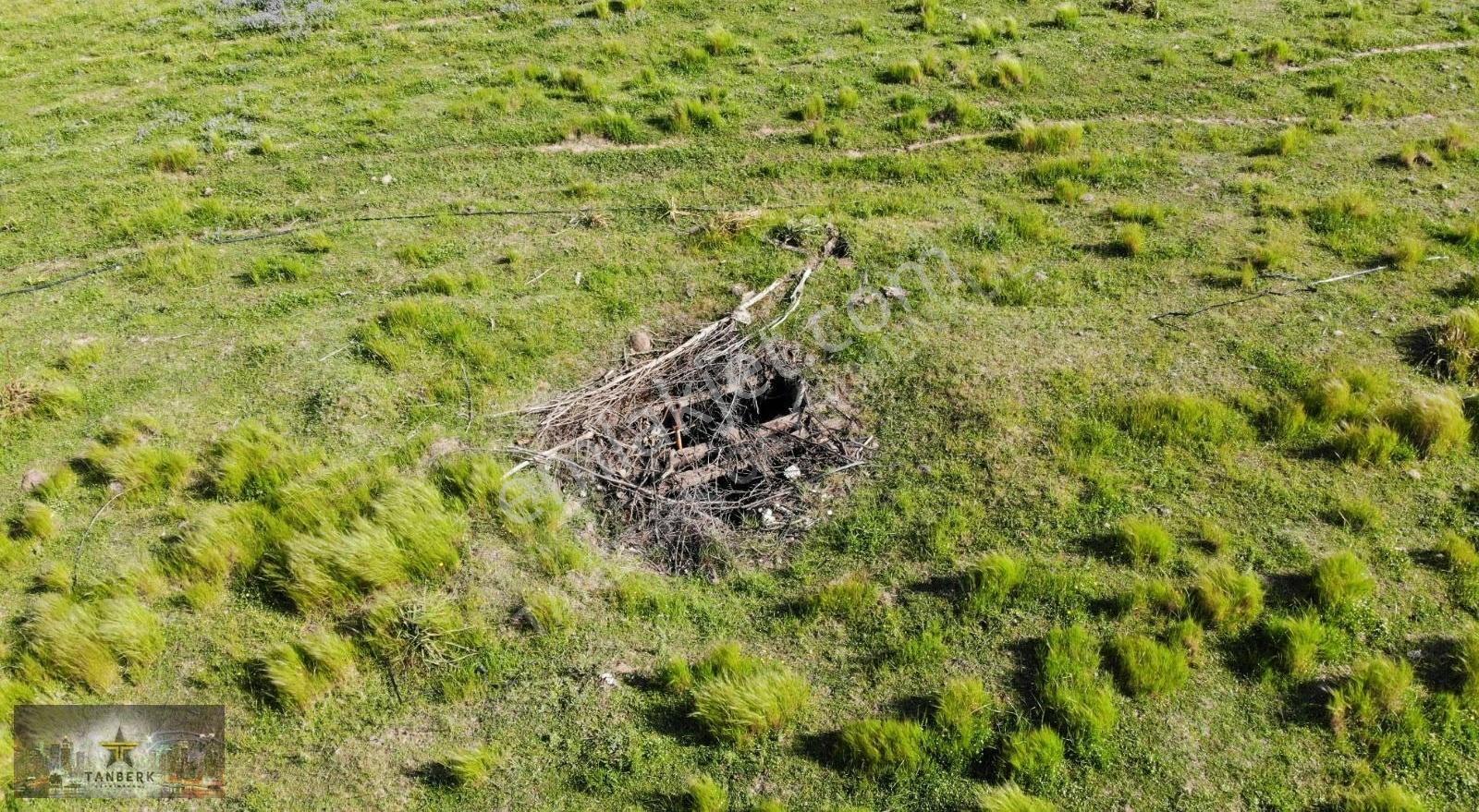 Bergama Doğancılar Da Satılık 20 Dönüm Tarla - Görsel 10