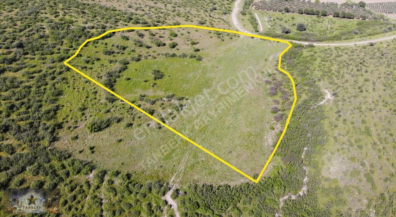 Bergama Doğancılar Da Satılık 20 Dönüm Tarla - Görsel 7
