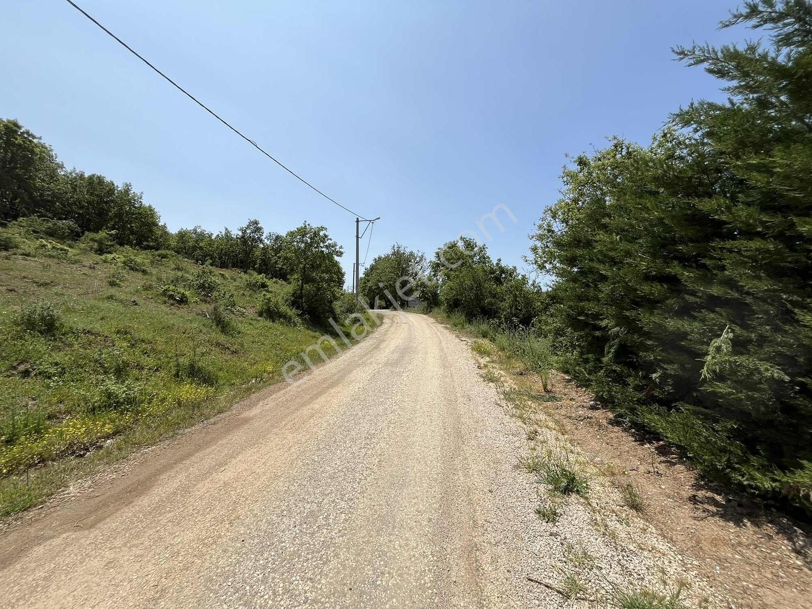 İstanbul'a 2 Saat Haydariye'de Doğa Harikası Arsa - Görsel 23
