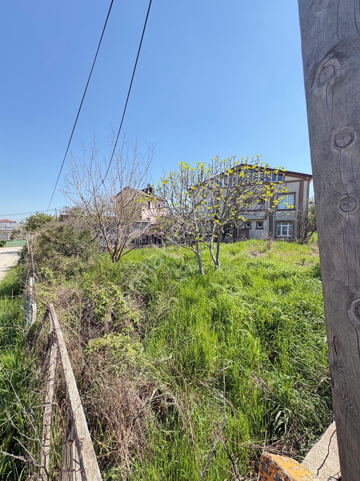 Mollateam Arnavutköy Karaburun Denize Yakın Satılık İmarlı Arsa - Görsel 16